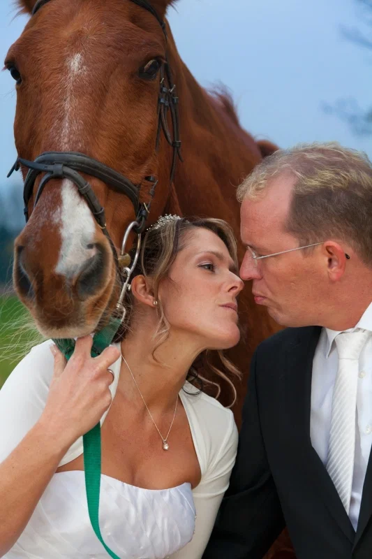 Hochzeitsportraits – Einblick in unsere Hochzeitsfotografie